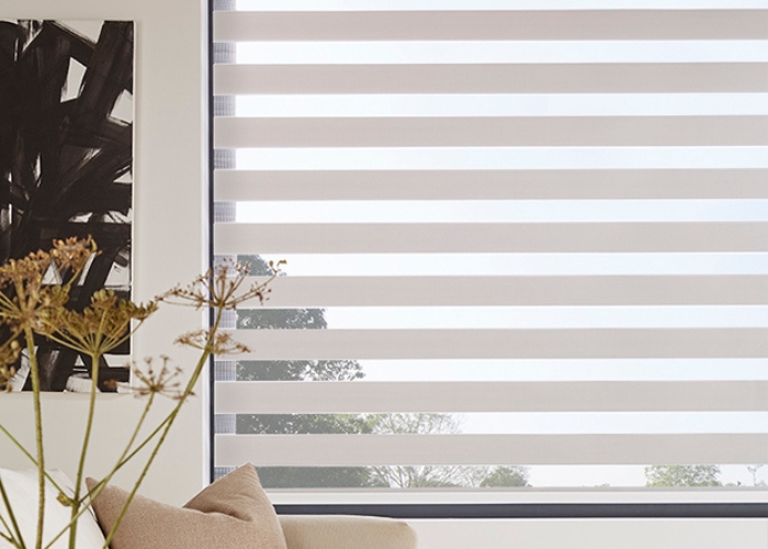 Duo Blinds