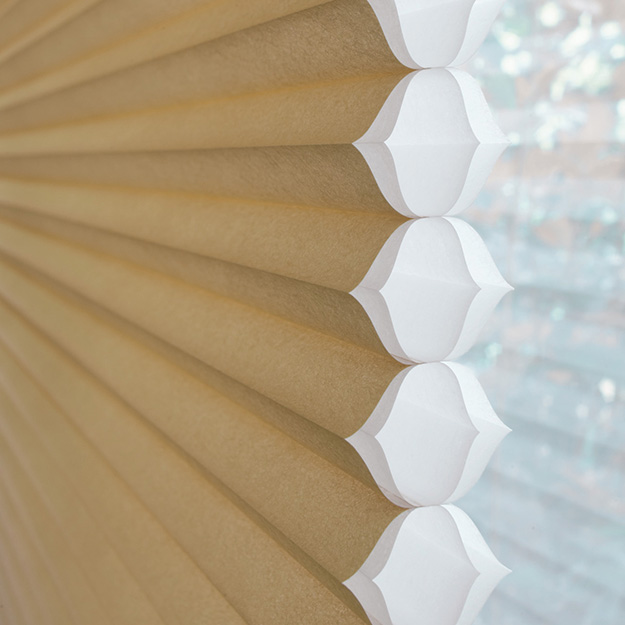 bamboo-duette-blind-close-up