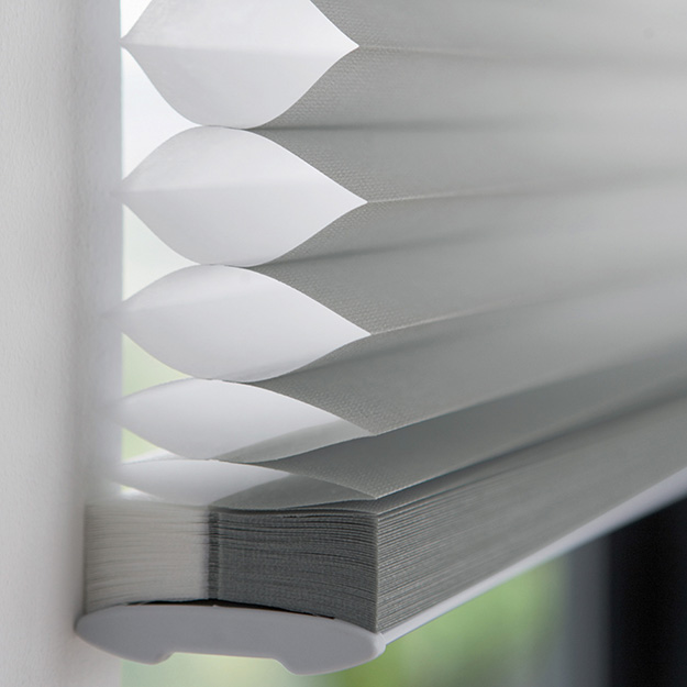 close-up-blue-duette